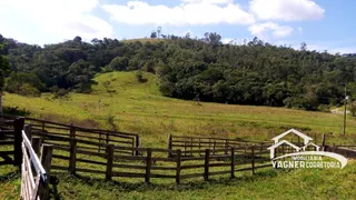 Fazenda / Sítio / Chácara com 4 Quartos à venda, 968000m² no Rocinha, Guaratinguetá - Foto 12