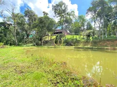 Fazenda / Sítio / Chácara com 4 Quartos à venda, 8000m² no Faxina, São José dos Pinhais - Foto 12