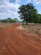 Terreno / Lote / Condomínio à venda, 500m² no Zona Rural, Pirenópolis - Foto 6