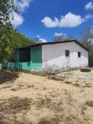 Fazenda / Sítio / Chácara com 3 Quartos à venda, 5000m² no Centro, Macaíba - Foto 5