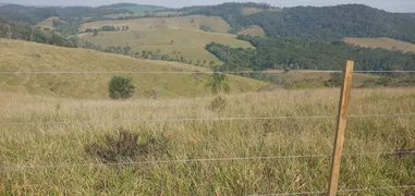 Fazenda / Sítio / Chácara com 3 Quartos à venda, 80m² no Area Rural de Capao Bonito, Capão Bonito - Foto 4