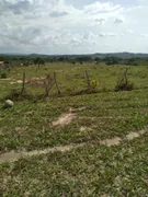 Fazenda / Sítio / Chácara à venda no Zona Rural, Heitoraí - Foto 8