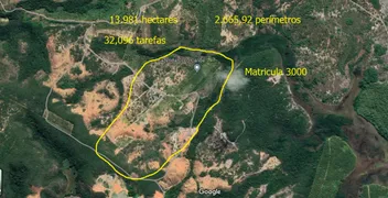 Fazenda / Sítio / Chácara com 4 Quartos à venda, 430000m² no Zona Rural, Conde - Foto 3