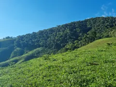 Fazenda / Sítio / Chácara com 3 Quartos à venda, 484000m² no São Francisco Xavier, São José dos Campos - Foto 36