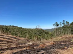 Fazenda / Sítio / Chácara à venda, 70000m² no Varzea Grande, Gramado - Foto 2