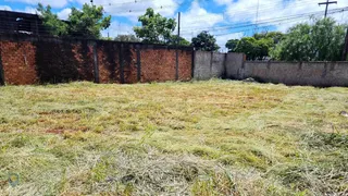 Terreno / Lote / Condomínio para alugar, 373m² no Alto da Boa Vista, Londrina - Foto 3