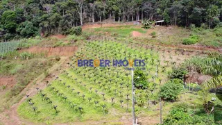 Fazenda / Sítio / Chácara com 3 Quartos à venda, 20000m² no Campo do Coelho, Nova Friburgo - Foto 3