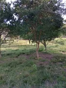 Fazenda / Sítio / Chácara com 4 Quartos à venda, 45000m² no Zona Rural, Pelotas - Foto 12