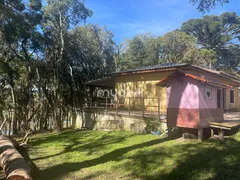 Fazenda / Sítio / Chácara com 4 Quartos à venda, 24000m² no Roça Velha, São José dos Pinhais - Foto 7