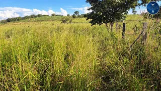 Fazenda / Sítio / Chácara à venda no Zona Rural, Nova Xavantina - Foto 3