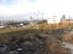 Terreno / Lote / Condomínio para alugar, 3700m² no Cidade Satélite Íris, Campinas - Foto 3