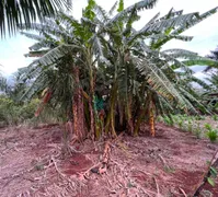 Fazenda / Sítio / Chácara à venda, 5255m² no Jardim Nilza, Maringá - Foto 8