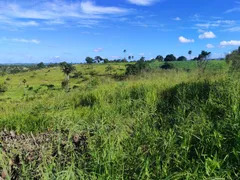 Fazenda / Sítio / Chácara à venda, 60000m² no Zona Rural, Glória do Goitá - Foto 10