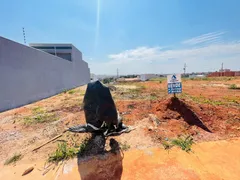 Terreno / Lote / Condomínio à venda, 250m² no Reserva Centenaria, Santa Bárbara D'Oeste - Foto 23