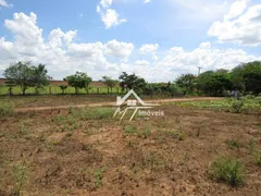 Fazenda / Sítio / Chácara com 3 Quartos à venda, 200m² no Chácara Cruzeiro do Sul, Sumaré - Foto 10