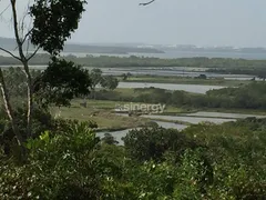 Terreno / Lote / Condomínio à venda, 8000m² no Piau, Tibau do Sul - Foto 2