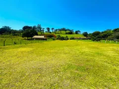 Fazenda / Sítio / Chácara com 1 Quarto à venda, 60m² no Zona Rural, Santo Antônio do Pinhal - Foto 1