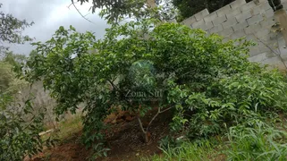 Fazenda / Sítio / Chácara com 3 Quartos à venda, 220m² no Brigadeiro Tobias, Sorocaba - Foto 30