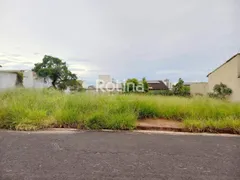 Terreno / Lote / Condomínio à venda, 250m² no Bosque dos Buritis, Uberlândia - Foto 1