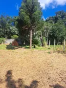 Terreno / Lote / Condomínio à venda, 3696m² no Estancia Cabral, Cambé - Foto 6