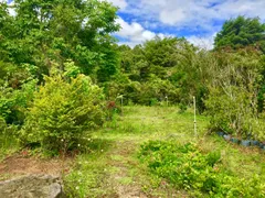 Fazenda / Sítio / Chácara à venda, 17832m² no Centro, Campos do Jordão - Foto 15