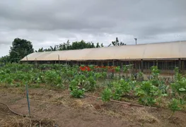 Fazenda / Sítio / Chácara com 5 Quartos à venda, 300m² no Parque da Grama, Indaiatuba - Foto 42