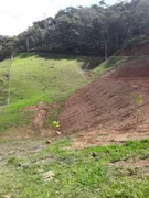 Fazenda / Sítio / Chácara à venda, 4000m² no Limeira, Brusque - Foto 27