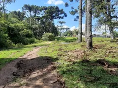 Terreno / Lote / Condomínio à venda no Contenda, São José dos Pinhais - Foto 6