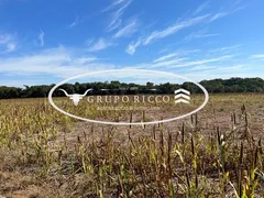 Fazenda / Sítio / Chácara à venda no Zona Rural, Bom Jardim de Goiás - Foto 1