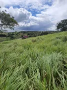 Fazenda / Sítio / Chácara com 3 Quartos à venda, 21600m² no Zona Rural, Monte Alegre - Foto 2