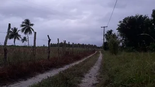 Fazenda / Sítio / Chácara à venda, 74000m² no Zona Rural, Conde - Foto 16