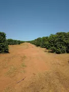 Fazenda / Sítio / Chácara à venda, 3650000m² no Vila Pinto, Varginha - Foto 21