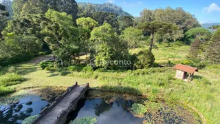 Fazenda / Sítio / Chácara à venda, 120000m² no Planalto, Gramado - Foto 27