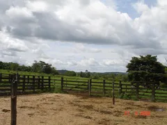 Fazenda / Sítio / Chácara à venda, 1035m² no Zona Rural, Goianorte - Foto 29