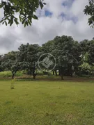 Fazenda / Sítio / Chácara com 3 Quartos à venda, 10m² no Centro, Iguaraçu - Foto 1