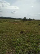 Fazenda / Sítio / Chácara à venda no Zona Rural, Heitoraí - Foto 2