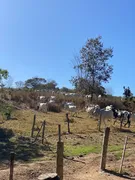 Fazenda / Sítio / Chácara com 3 Quartos à venda, 732000m² no Zona Rural, Jaraguá - Foto 2