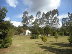 Fazenda / Sítio / Chácara com 5 Quartos à venda, 36400m² no Pavão-Canguera, São Roque - Foto 7