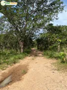 Fazenda / Sítio / Chácara à venda, 23130000m² no Zona Rural, São Francisco do Maranhão - Foto 6