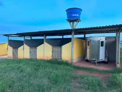 Fazenda / Sítio / Chácara com 4 Quartos à venda, 20000m² no , Igarapé - Foto 14