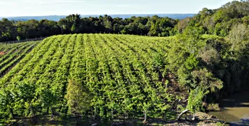 Fazenda / Sítio / Chácara à venda, 24000m² no Zona Rural, Monte Belo do Sul - Foto 10