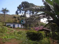 Fazenda / Sítio / Chácara com 2 Quartos à venda, 4000m² no Santa Cruz, Santo Antônio do Pinhal - Foto 2