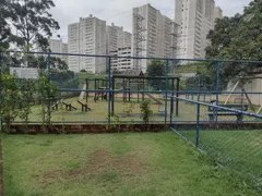 Apartamento com 2 Quartos à venda, 53m² no Jardim Felicidade, São Paulo - Foto 10