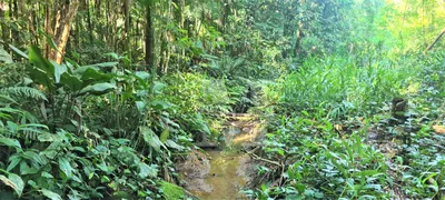 Fazenda / Sítio / Chácara com 2 Quartos à venda, 10000m² no Rio Sagrado, Morretes - Foto 16