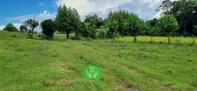 Fazenda / Sítio / Chácara à venda, 68000m² no Centro, Monte Belo do Sul - Foto 3