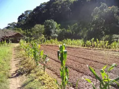 Fazenda / Sítio / Chácara com 3 Quartos à venda no Providencia, Teresópolis - Foto 7