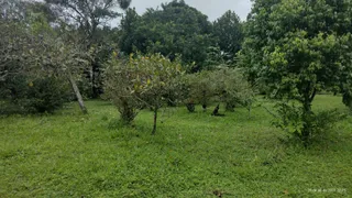Fazenda / Sítio / Chácara com 6 Quartos à venda, 26000m² no Aldeia dos Camarás, Camaragibe - Foto 22