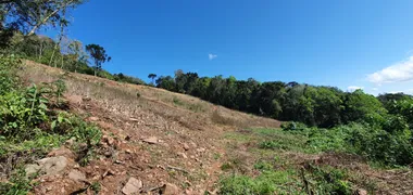 Fazenda / Sítio / Chácara à venda, 40000m² no Zona Rural, Monte Belo do Sul - Foto 8