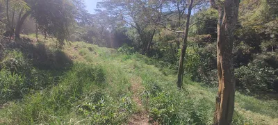 Fazenda / Sítio / Chácara à venda, 4500m² no Voldac, Volta Redonda - Foto 15