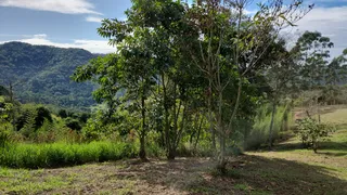 Terreno / Lote / Condomínio à venda, 1300m² no Fazendinha, Itatiaia - Foto 2